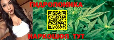 PSILOCYBIN Жуковский