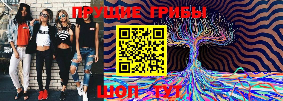 Псилоцибиновые грибы Psilocybine cubensis Хабаровск